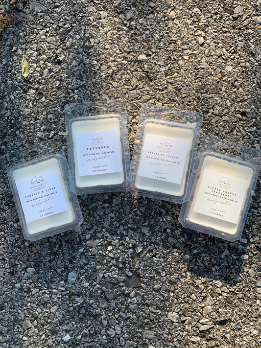 Citrus Shores – Wax Melt (2.5 oz) | Inspired by a Certain High Lord | Clean Soy, Pet-Safe, Flame-Free Fragrance