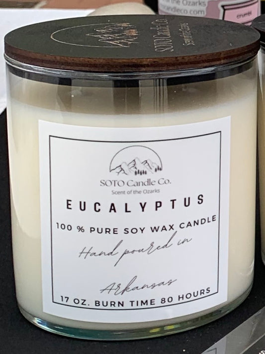 Eucalyptus – Tumbler Candle (17 oz) | 2 Wick | Fresh, Herbal, Clean | Clean Soy, Pet-Safe, Hand-Poured