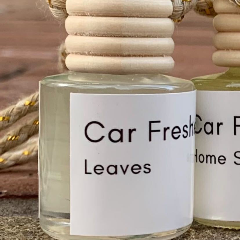 Leaves – Car Freshener | Crisp, Cozy, Autumn Vibes | Natural Coconut Oil + Clean Scent Oils | Pet-Safe, Hand-Poured