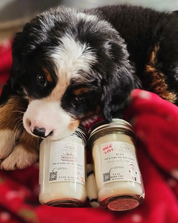 Naughty – Mason Jar Candle (5.5 oz)